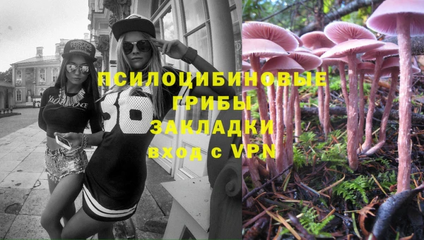 шишки Алексин