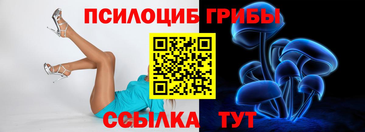 Псилоцибиновые грибы прущие грибы  Вход с VPN  где купить наркоту  Удомля 