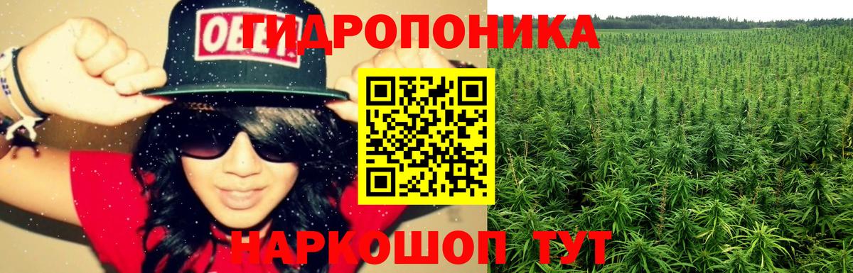 Конопля Bruce Banner  Конопля индика  Удомля  Бошки марихуана Amnesia  Вход с VPN 